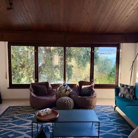 Cedrus House - New Prestige