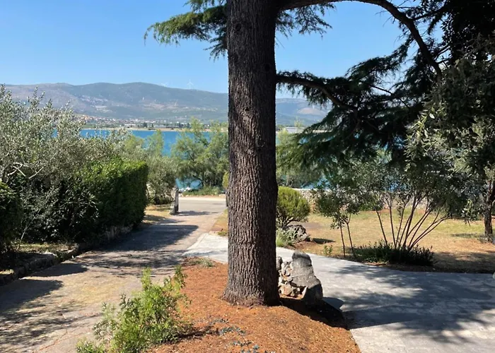 Cedrus House - New Prestige Вілла