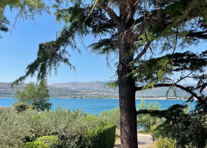 Cedrus House - New Prestige