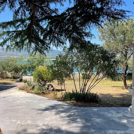 Cedrus House - New Prestige