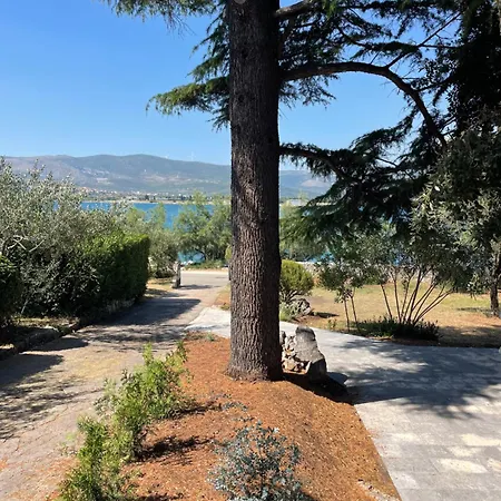 Cedrus House - New Prestige Vila